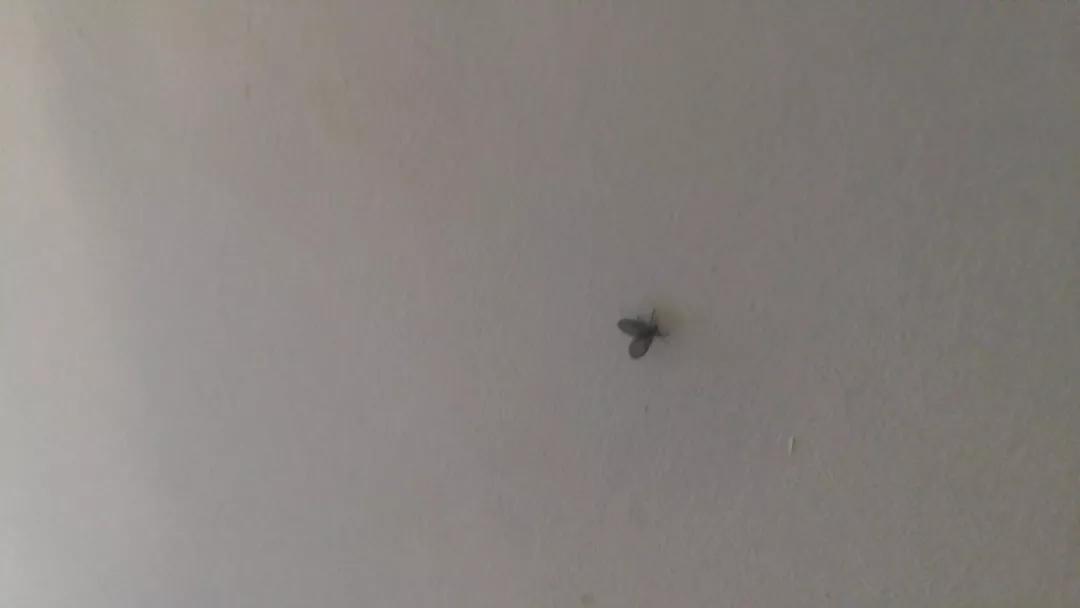 請?zhí)砑訄D片